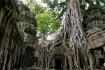Unveiling the Myths and Legends Surrounding the Cultural Heritage of Forests