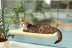Exploring Different Themes for Your DIY Cat Playground Design