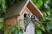 Birdwatching Gear: What You Need for an Enjoyable Experience