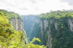 Exploring the Evolution of Natural Resource Use: Lessons from History