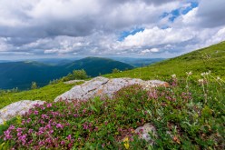 A Guide to Safety and Preparation on Family-Friendly Mountain Hikes