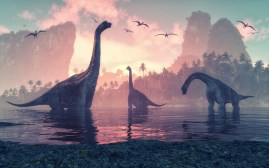 Exploring Extinct Species: The Most Notable Discoveries in Paleozoology Today