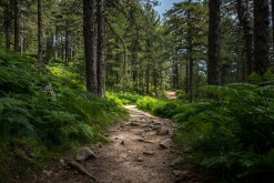 Leave No Trace Principles: Responsible Practices for Multi-Day Hikers